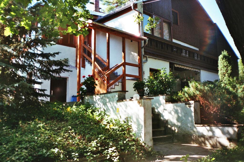 Pension Fischer Plauen Bagian luar foto