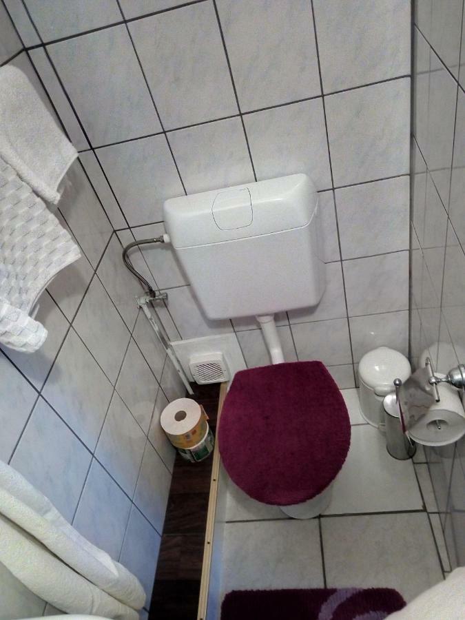 Pension Fischer Plauen Bagian luar foto