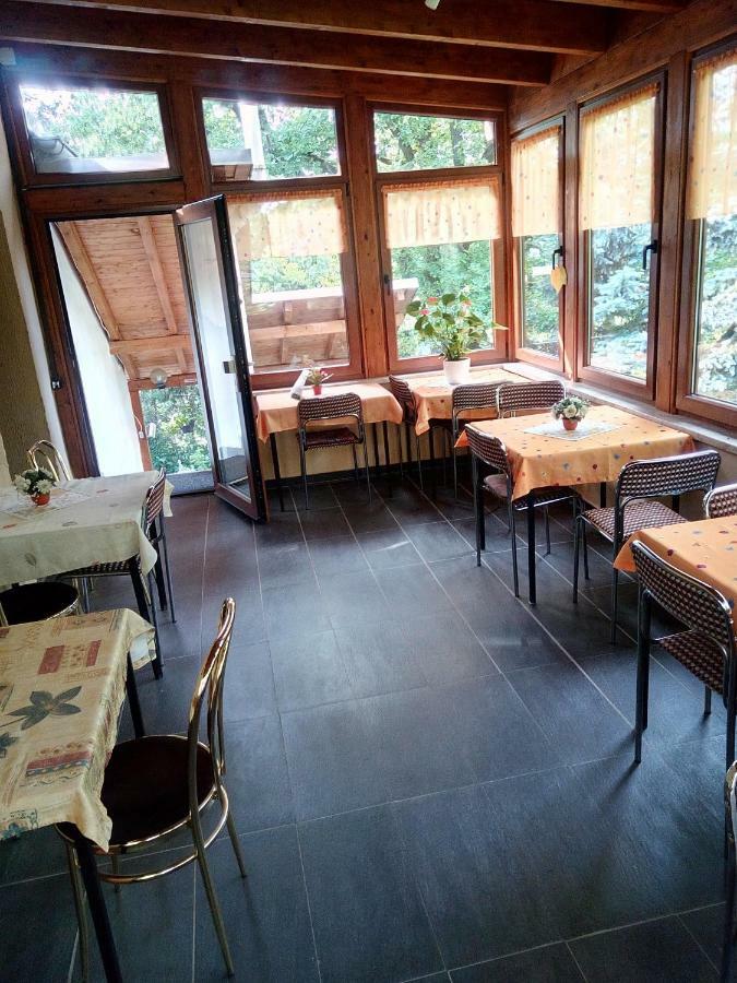 Pension Fischer Plauen Bagian luar foto